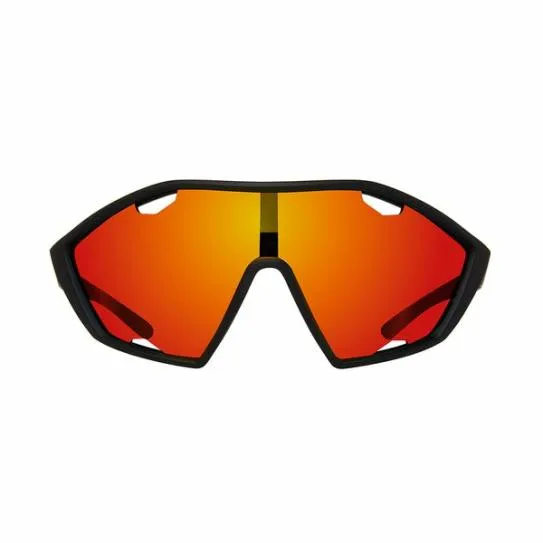 Accessories DANE SUNGLASSES BLACK Black Steve Madden Sunglasses