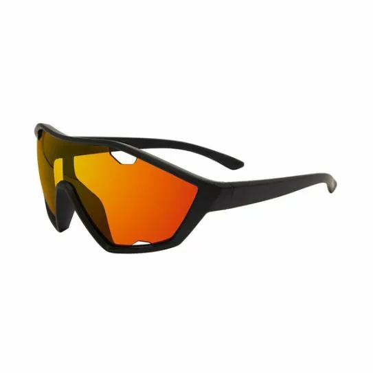 Accessories DANE SUNGLASSES BLACK Black Steve Madden Sunglasses Accessories DANE SUNGLASSES BLACK Black Steve Madden Sunglasses