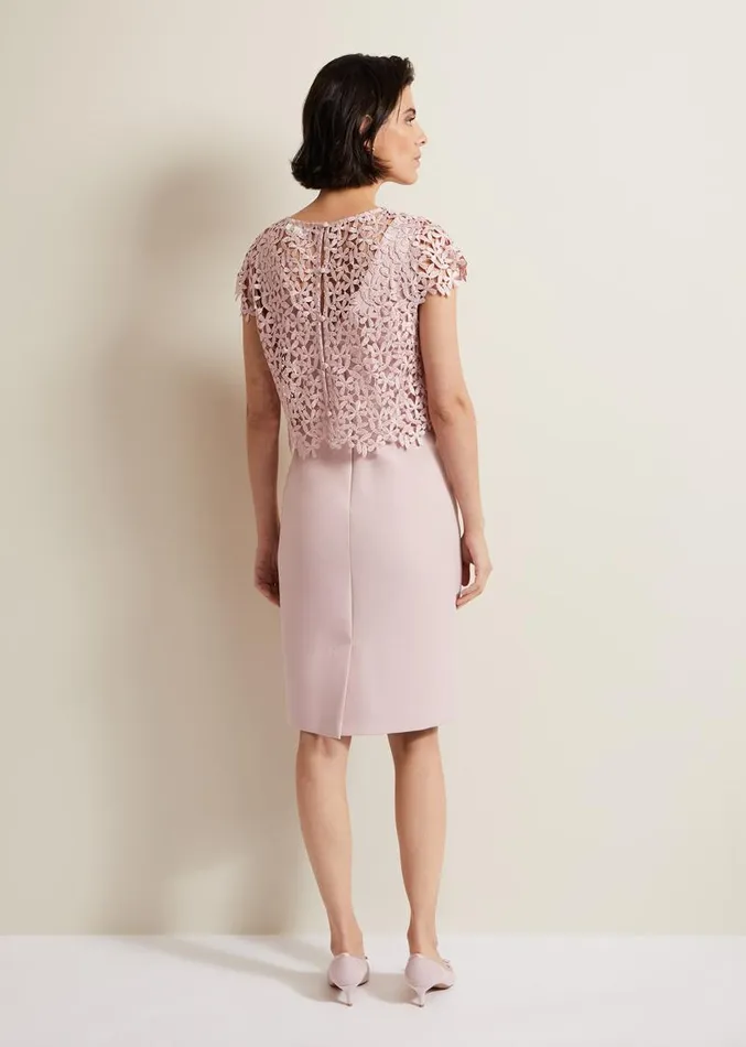 Daisy Lace Midi Dress Pale Pink Women Phase Eight Dresses