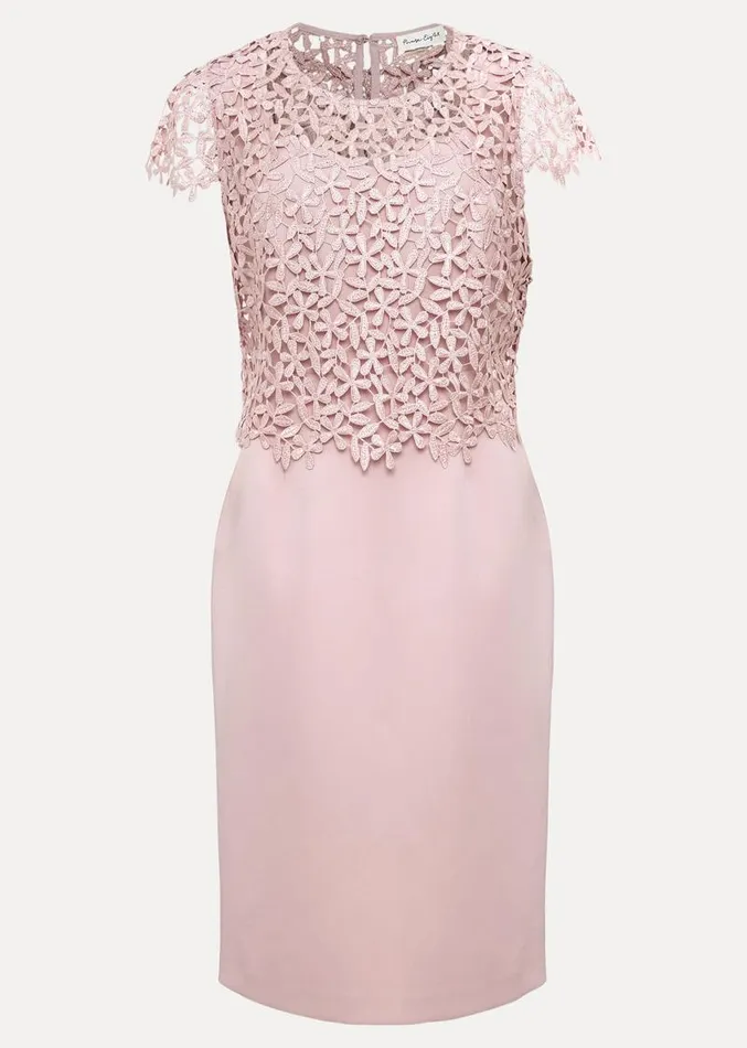 Daisy Lace Midi Dress Pale Pink Women Phase Eight Dresses