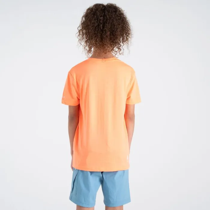 Dare 2b Trailblazer II TShirt Live Wire Orange Kids