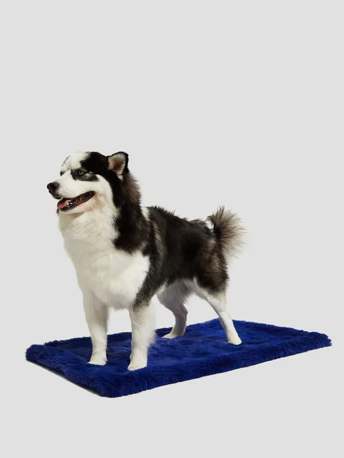 GUESS Sale FauxFur Pet Carpet Blue 8211 Women