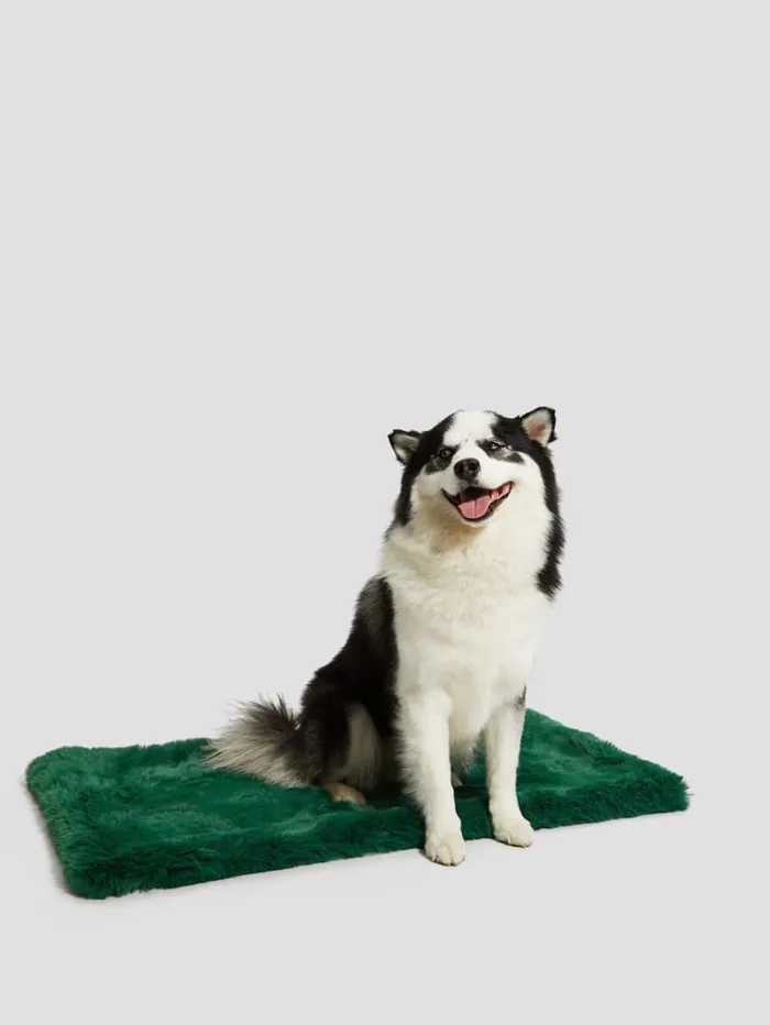 GUESS Sale FauxFur Pet Carpet Blue 8211 Women