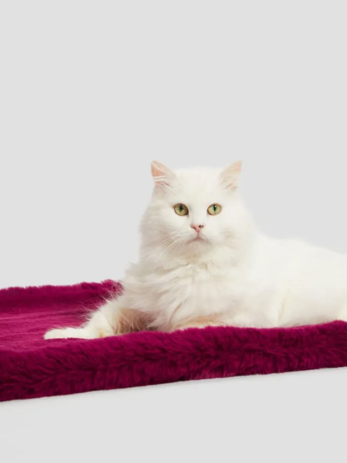 GUESS Sale FauxFur Pet Carpet Blue 8211 Women