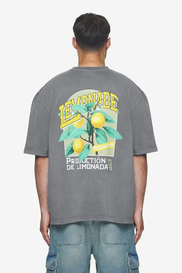 Men Pegador Tees Kort Oversized Tee Vintage Grey