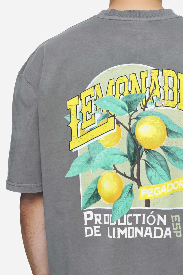 Men Pegador Tees Kort Oversized Tee Vintage Grey Men Pegador Tees Kort Oversized Tee Vintage Grey