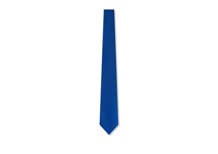 Men Ties and Bow Ties Tom Ford Solid Twill Tie Royal Blue