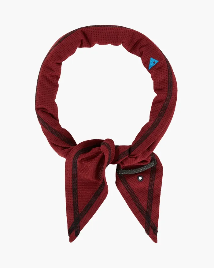 MenWomen Allvis Scarf Ruby Red Klttermusen Scarves and Neckwarmers