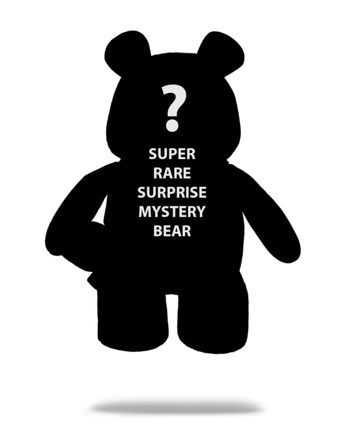 MYSTERY BEARS PACK COLLECT ALL 5 Bags SPRAYGROUND