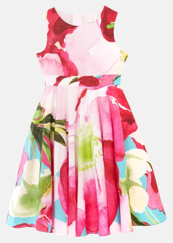 Nala Print Dress Multicoloured Women Phase Eight Dresses