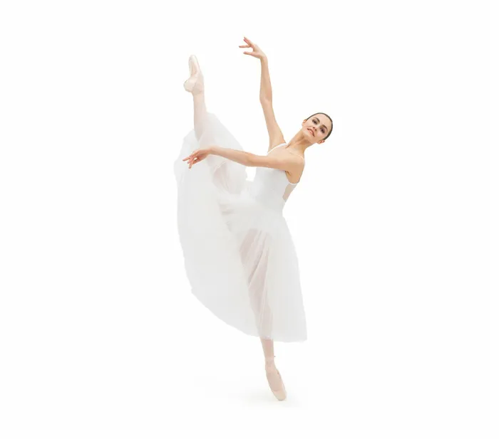 Repetto Womens Tutus and Skirts Rehearsal Tulle Skirt White