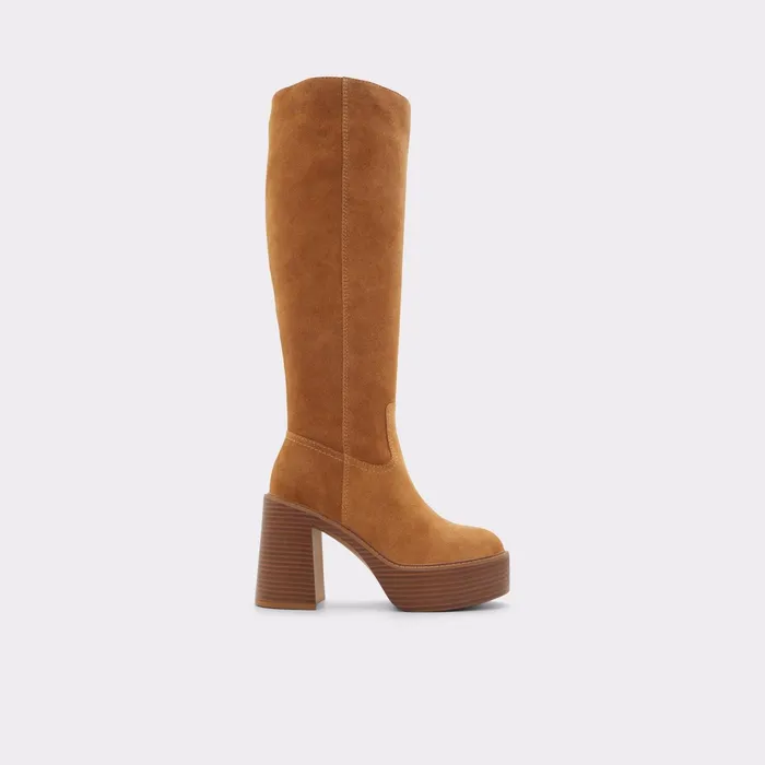Rykiel Brown Women ALDO Boots