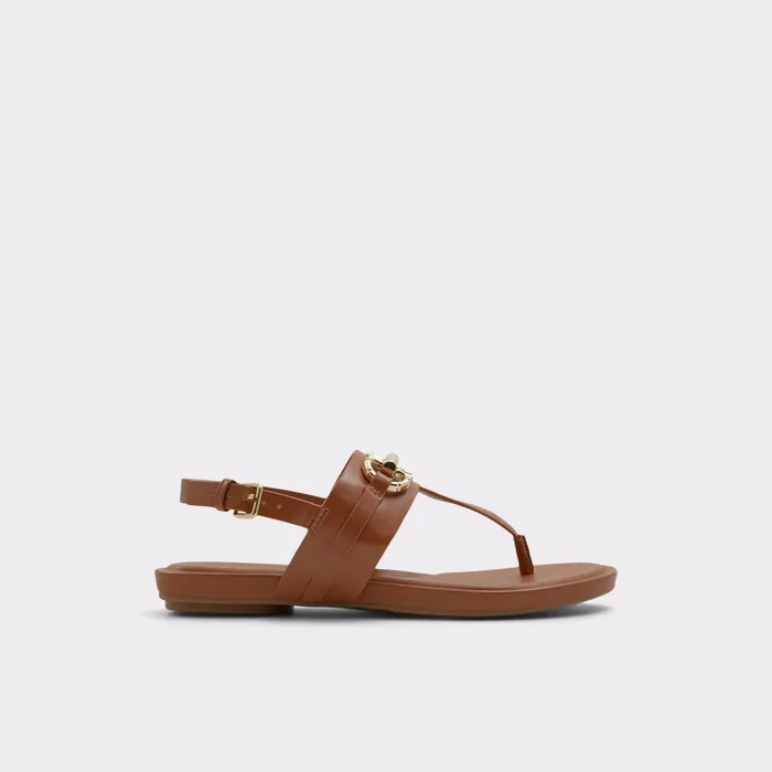 Tany Medium Brown Women ALDO Sandals