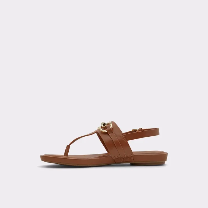 Tany Medium Brown Women ALDO Sandals