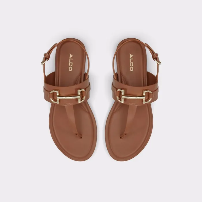 Tany Medium Brown Women ALDO Sandals