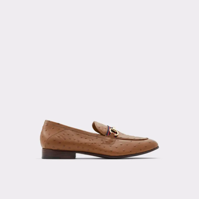 Trywen Brown Men ALDO Loafers and SlipOns