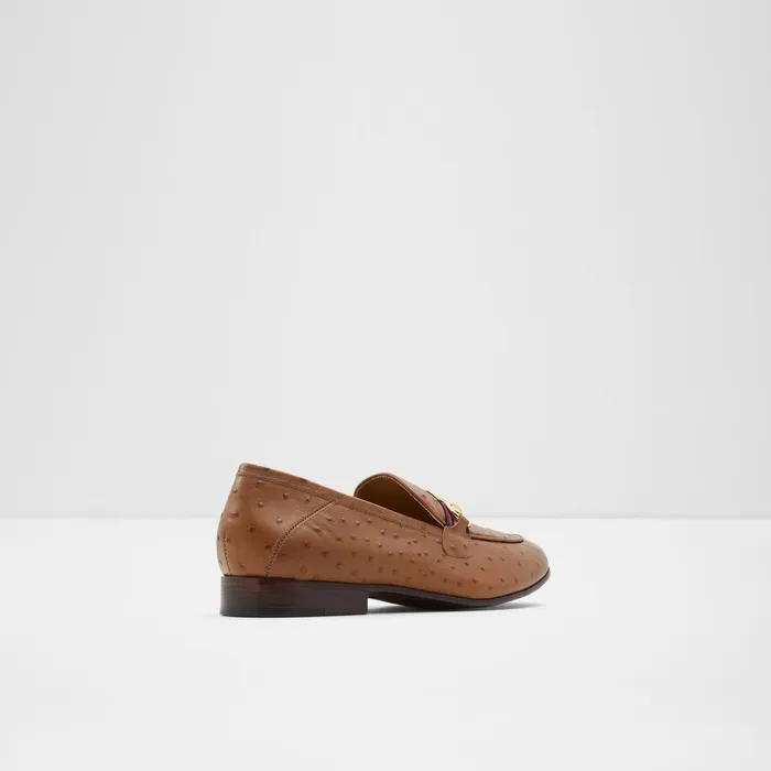 Trywen Brown Men ALDO Loafers and SlipOns