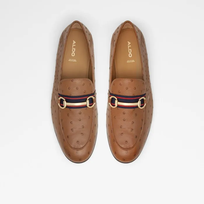Trywen Brown Men ALDO Loafers and SlipOns