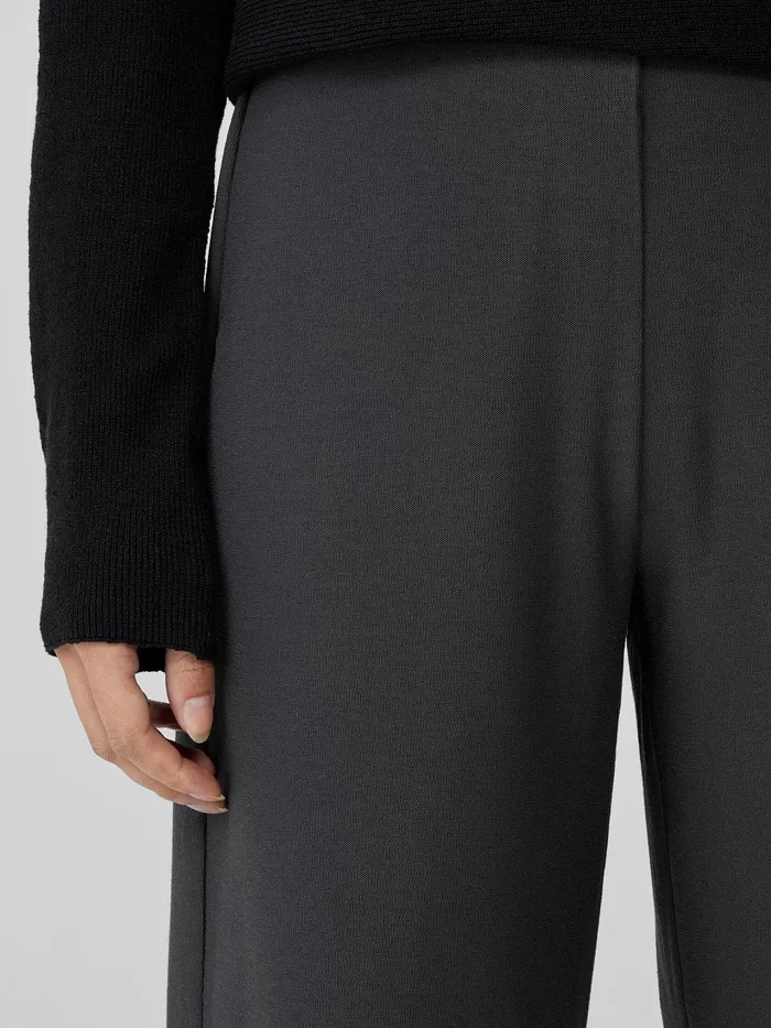 Washable Stretch Crepe WideLeg Pant Graphite Women Eileen Fisher Pants Shorts and Jumpsuits