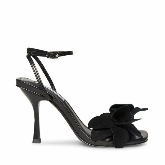 Women AMANI BLACK Black Steve Madden Heels
