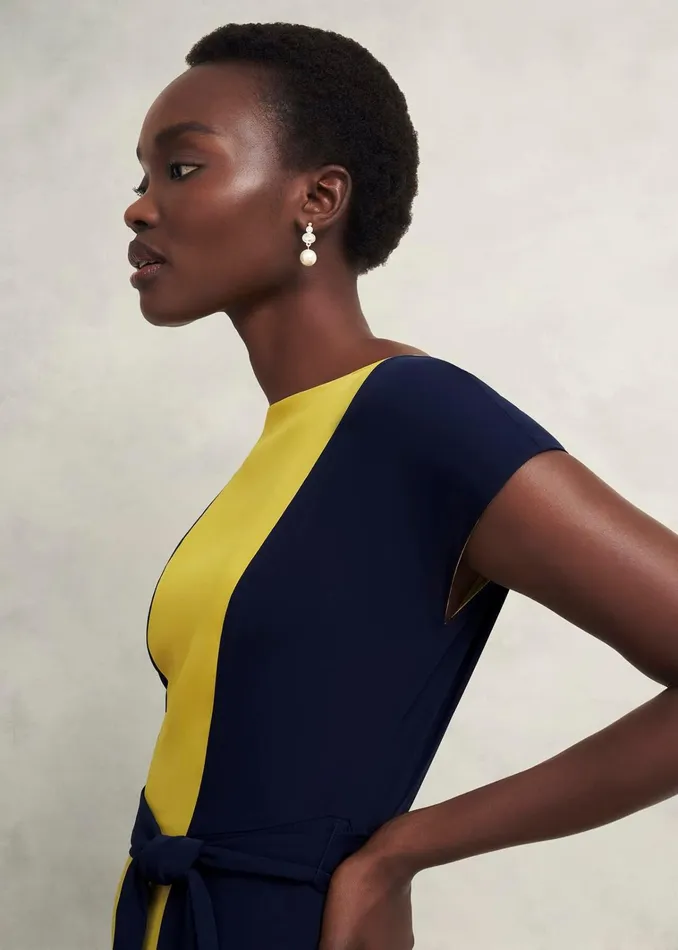 Women Emery Tie Belted Dress Navy Yellow Hobbs Dresses and Jumpsuits