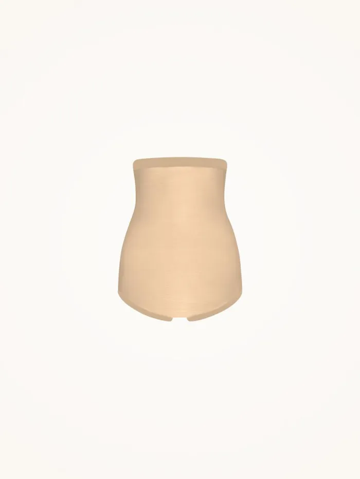 Women Panties Wolford Tulle Control Panty High Waist Nude Women Panties Wolford Tulle Control Panty High Waist Nude