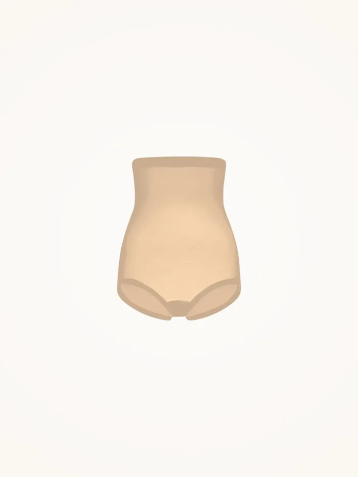 Women Panties Wolford Tulle Control Panty High Waist Nude Women Panties Wolford Tulle Control Panty High Waist Nude