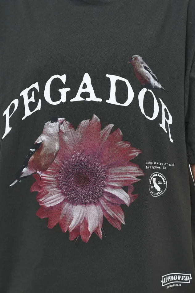 Women Pegador Tees Zea Oversized Tee Vintage Washed Iron Grey Women Pegador Tees Zea Oversized Tee Vintage Washed Iron Grey