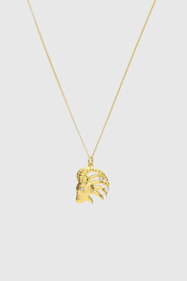 Women Rebecca Minkoff Jewelry Capricorn Zodiac Medallion Necklace