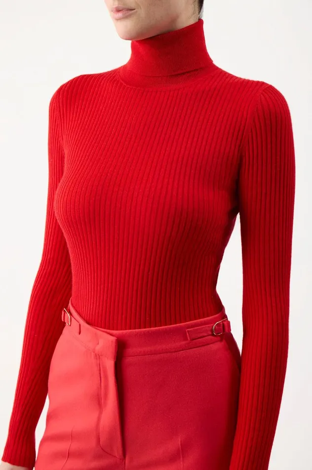 Women Sweaters and Turtlenecks Gabriela Hearst Peppe Knit Turtleneck In Red Cashmere Silk